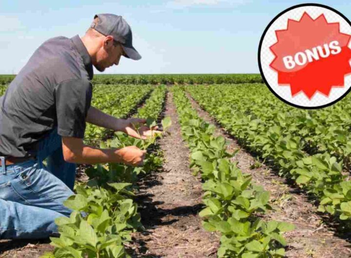 Bonus Agricoltura, dettagli