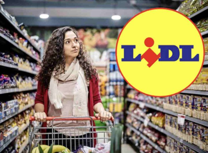 Complice un’offerta variegata e sempre competitiva, Lidl si è distinta come un discount in grado di offrire prodotti di qualità a prezzi contenuti