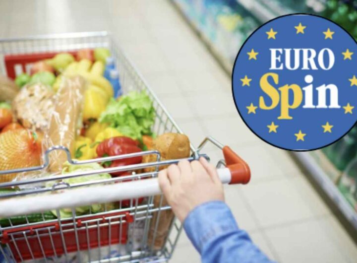 La varietà di questo prodotto è innumerevole, e la cucina italiana è rinomata in tutto il mondo per la sua abilità nell'esaltare la pasta in tutte le sue forme.