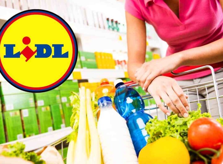 Lidl, offerte della settimana