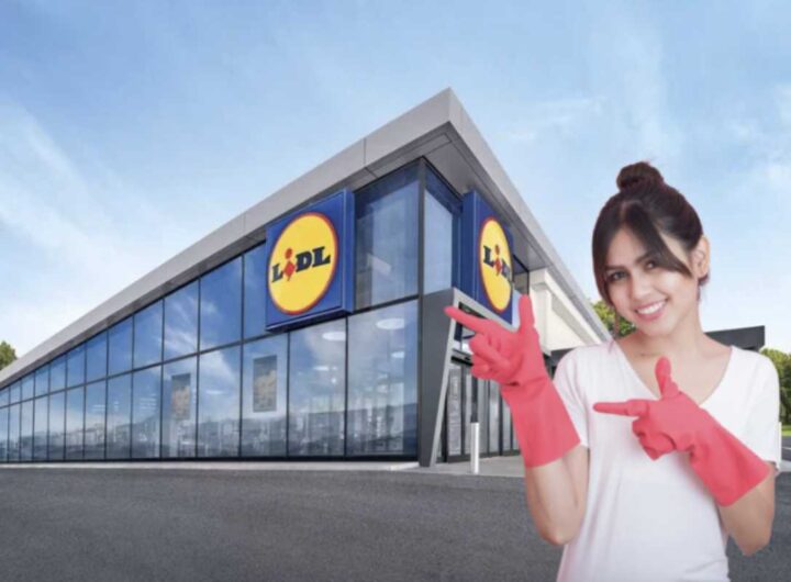 Spesso considerata una scelta economica, LIDL ha saputo dimostrare che il risparmio non deve compromettere la qualità.