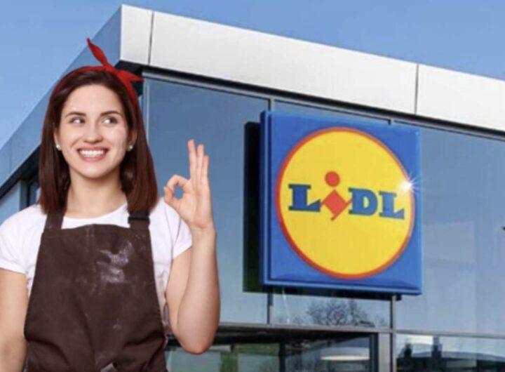 Lidl è rinomata non solo per i suoi prezzi contenuti, ma anche per la qualità dei suoi articoli. Ogni volta che visito il negozio
