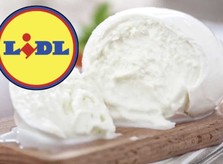 LIDL, in particolare, ha guadagnato una notevole popolarità in Italia e in Europa grazie alle sue offerte competitive e alla promessa di qualità a prezzi