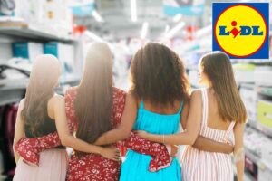 Offerta Lidl elettrodomestico