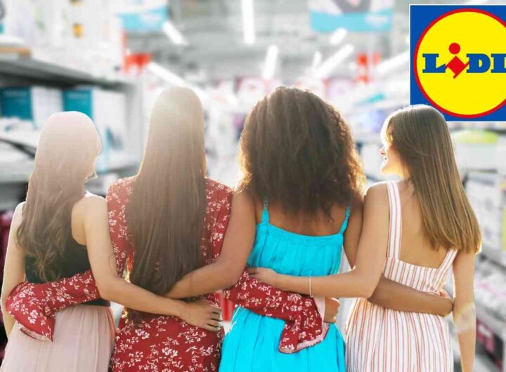 Offerta Lidl elettrodomestico